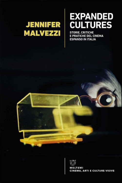 COVER-cinema-malvezzi-expanded-cultures