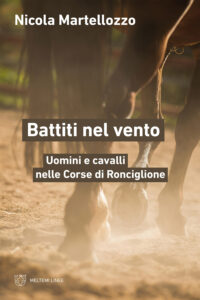 COVER-linee-martellozzo-battiti-nel-vento